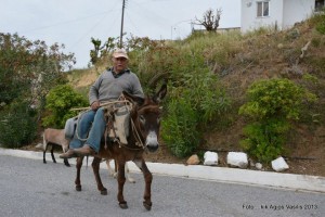 384540_450619525019769_561031041_n