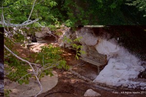 44777_449219728493082_1122499868_n