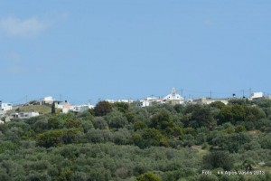 922728_449219421826446_1849426031_n