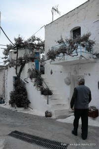 931390_449826638432391_154632667_n