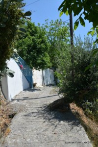 943060_457772067637848_1689282066_n