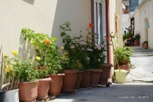 970811_457770790971309_1599979020_n