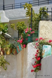 972033_457770177638037_1358668992_n