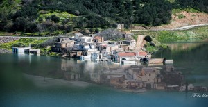 10995540_586337828205658_6364679206852404370_n