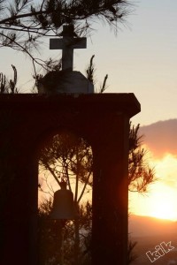 946510_196373497202095_778325271_n