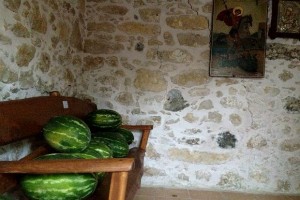 photo-14-thumb-large