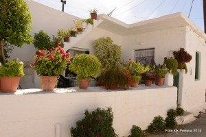 10710918_537968549709253_6825998727855739553_n