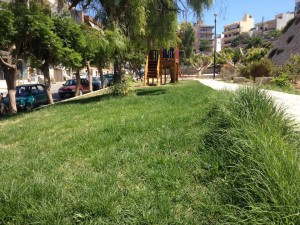 10984118_413019732233376_8533786141200771005_n