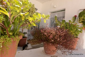 1619470_537968216375953_1616231753427599916_n