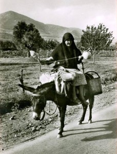 11112569_450077295144604_413620294995445200_n