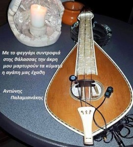 11787246_402478026616986_245386596_n (1)