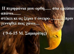 11830670_403329613198494_1557488825_n