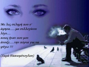 11896122_425520307640294_4625980608572860638_n