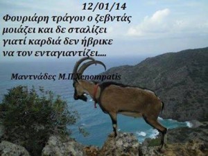 11896195_745319525571996_4570222504395254489_n