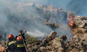 11947424_641954765977297_4069809608334723976_n