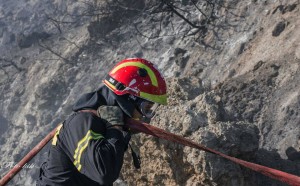 11951201_641957905976983_535758416122891535_n