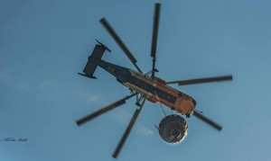 11951748_641947669311340_7271493632748003785_n