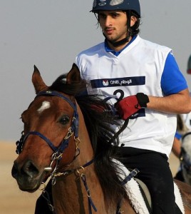 seixis_3.JPG.pagespeed.ce.3E9TnLlX23