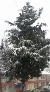 10400462_1083855994998690_2962349497068233196_n