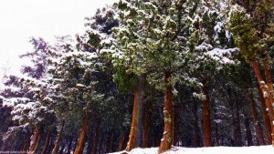 10422315_820353501406493_8057326350516056470_n