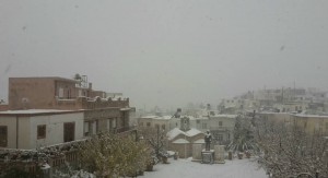 3413_820344214740755_3087082014600184002_n