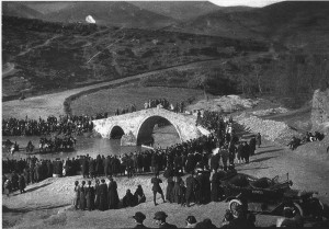 12507657_1647076228875018_8252555910116065142_n