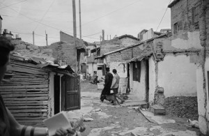 12508936_1647084165540891_45213862769219739_n