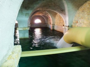 560781_144970005628704_923280733_n