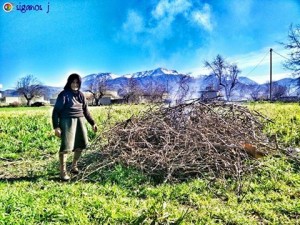 12799381_990634521006255_3850966520808177998_n