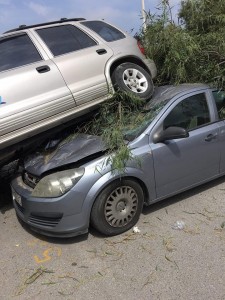 13046131_1303417406340633_1746604756_n