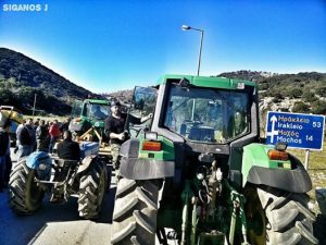 13100784_1031658980237142_3545739318891829020_n