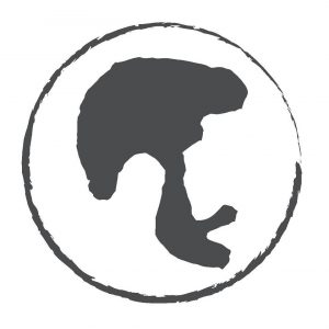 11933443_441410365984085_4421860750667413344_n