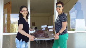 13453347_10154264878199458_226373012_o