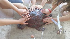 13460748_10154264878439458_2018084763_o