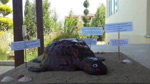 13499590_10154264878494458_1457355094_o