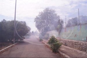 DSC04315