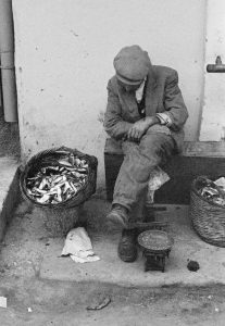 10933707_10153420587139933_9131449169873471630_n