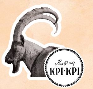 11873475_1146073035422542_2288509727173659031_n