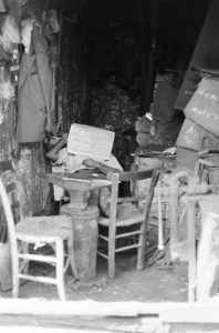 11986562_10153602423064933_3863837407671158346_n