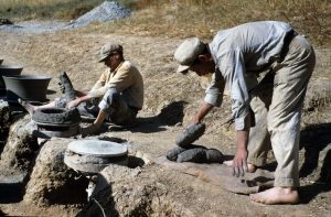 13559028_1151423378213381_6758512176660883697_o