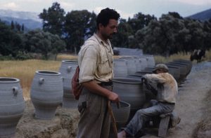 13568919_1151423421546710_2795374337994788675_o