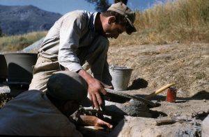 13568920_1151423428213376_3563489286350767766_o