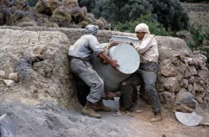 13569014_1151423231546729_6274014244703199464_o