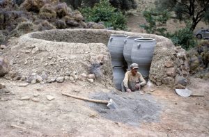 13580620_1151423298213389_4341772595611840593_o