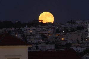 13735152_10153989788363962_4705879773704863024_o