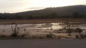 14080864_10208391780166847_1678786535_n