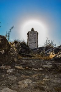 14232485_755470231292416_958684179013274943_n