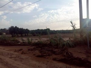 14248840_293227097712393_1160513011_n-1