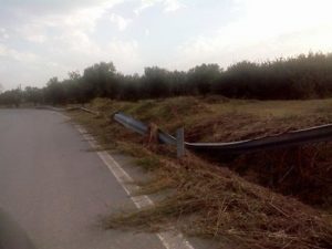 14287487_293227077712395_1081095129_n