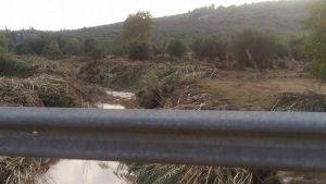 14302372_10208391779966842_1472509946_n